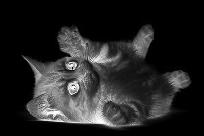 Photoshop制作素描效果的详细操作步骤