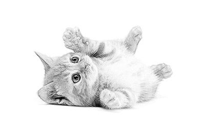 Photoshop制作素描效果的详细操作步骤