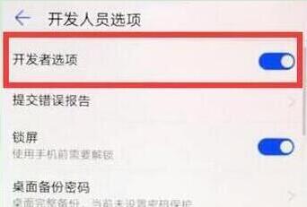 在华为p30pro中打开开发者选项的方法介绍