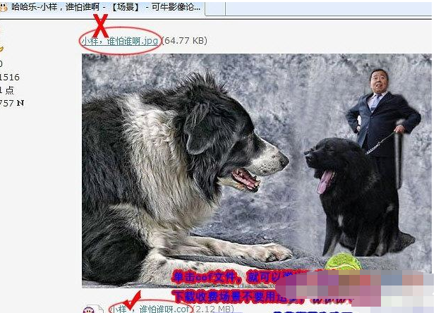 可牛影像下载场景的操作流程