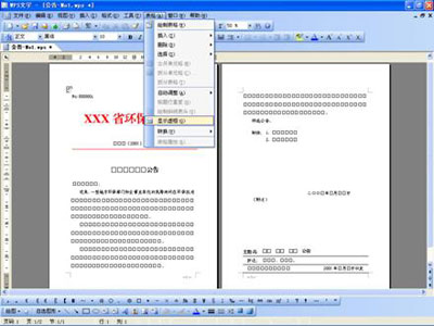 WPS将公文默认保存成DOC格式的操作流程