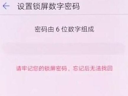 荣耀20pro设置锁屏密码的具体使用教程