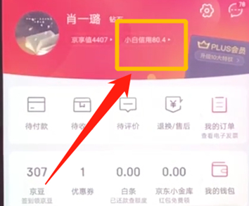 在京东里提升小白信用的基础操作