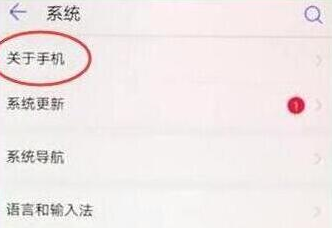 荣耀20pro中将开发者选项打开的具体操作