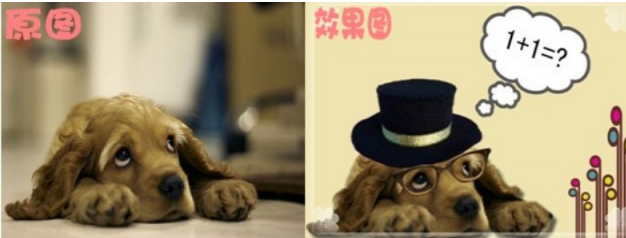 可牛影像制作可爱萌宠的图文操作