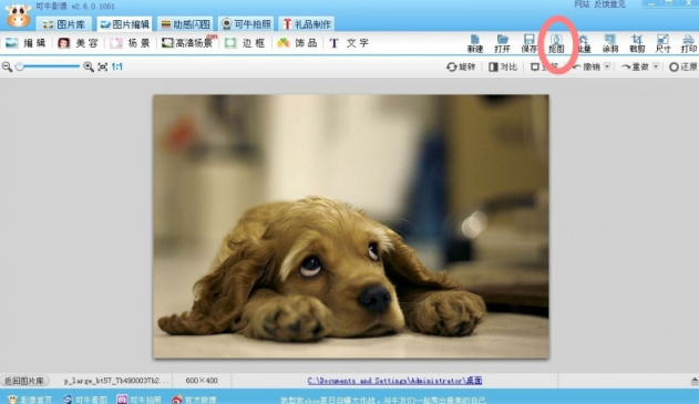 可牛影像制作可爱萌宠的图文操作