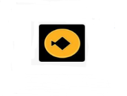 小黑鱼APP进行注册的简单操作