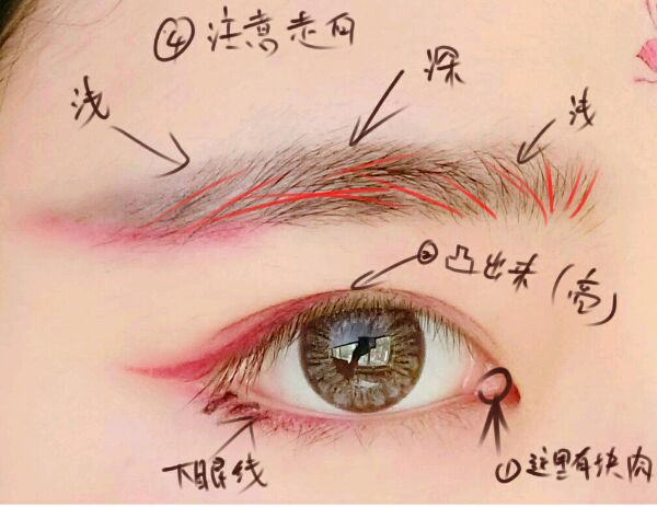 PS仿手绘制作水灵眼睛的详细操作