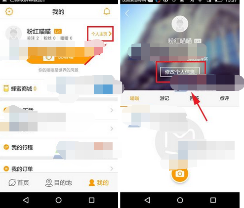 蚂蜂窝自由行APP设置背景的操作流程