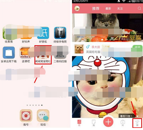 在闻闻窝APP里发领养信息的具体操作