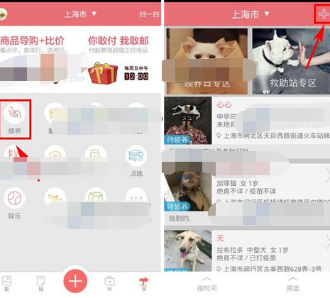 在闻闻窝APP里发领养信息的具体操作