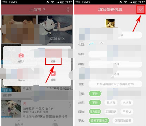 在闻闻窝APP里发领养信息的具体操作