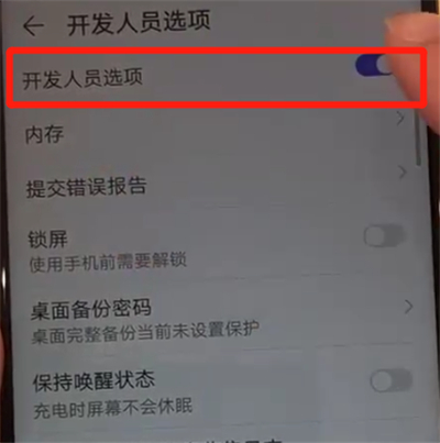 华为nova4中开启开发者选项的操作教程