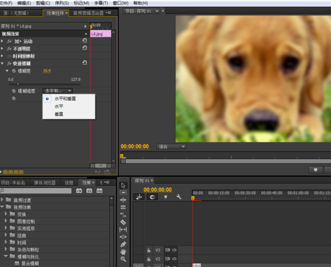 Premiere制作快速模糊效果的图文操作