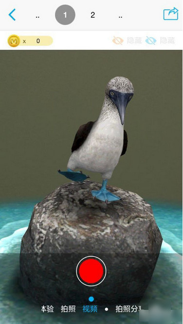 4D书城app的具体使用过程