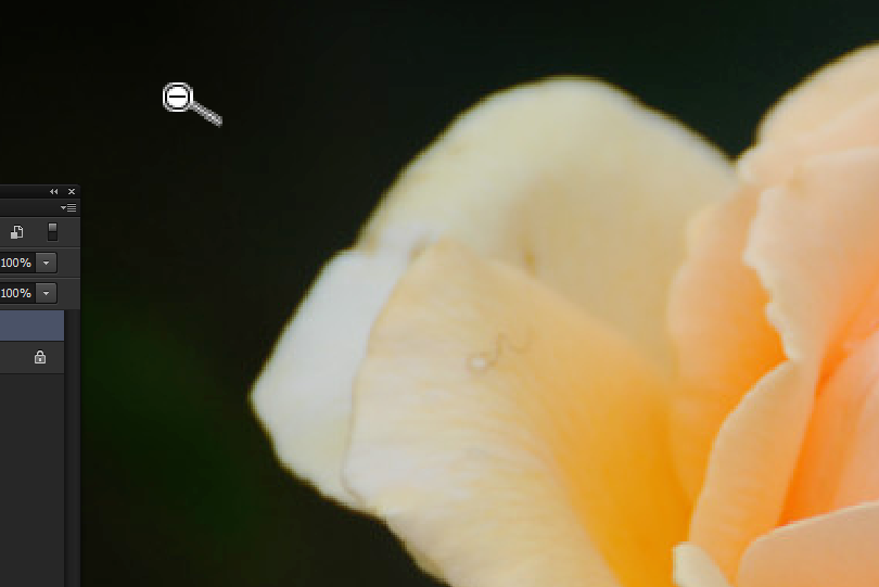 在Photoshop中使用抓手工具的具体操作步骤