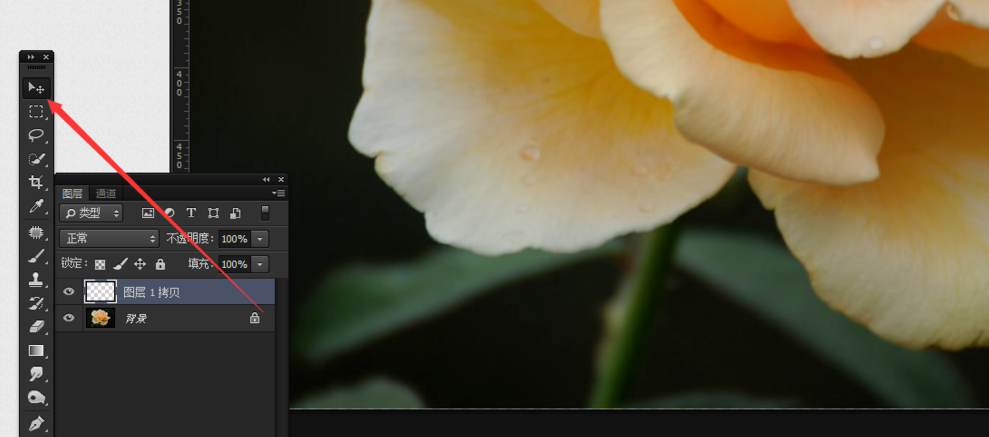 在Photoshop中使用抓手工具的具体操作步骤