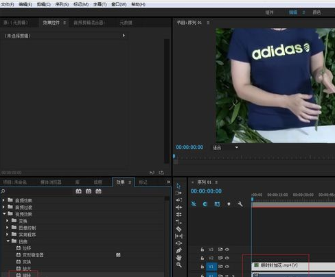 Premiere打造扭曲视频效果的操作流程