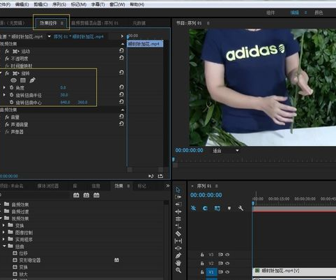 Premiere打造扭曲视频效果的操作流程