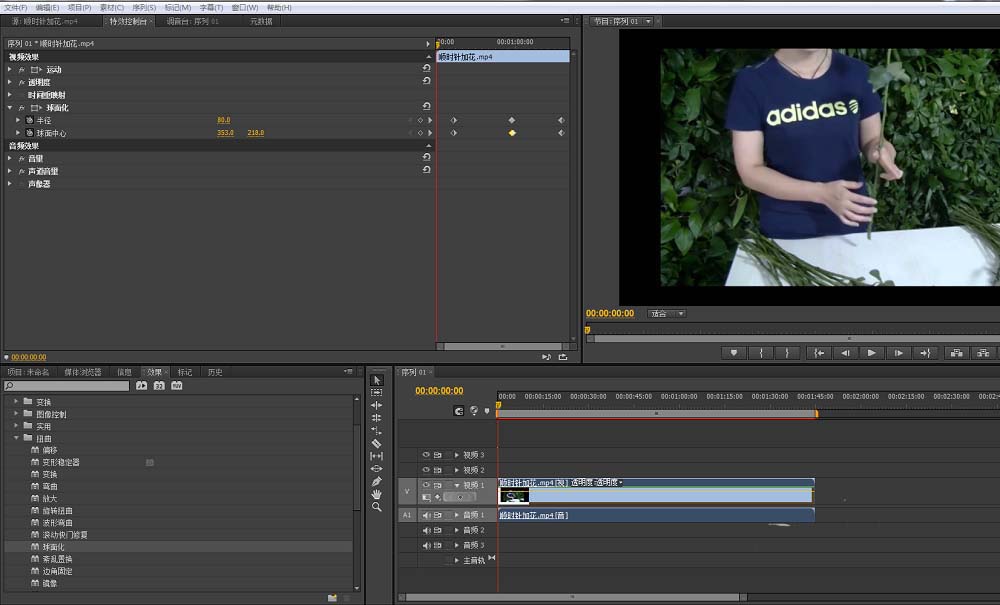 premiere给视频做出球面化效果的操作步骤