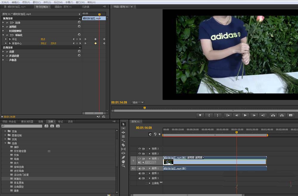 premiere给视频做出球面化效果的操作步骤