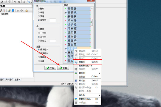 吉吉写作起名的简单操作讲解