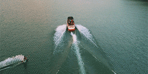 利用PS将视频制成GIF动图的具体操作