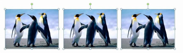 PPT制作出一段电影胶片平滚式动画的详细操作教程