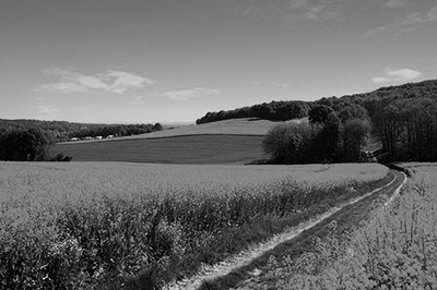 Photoshop将照片弄成黑白照的具体操作