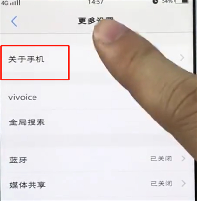 vivo手机中打开开发者选项的简单步骤