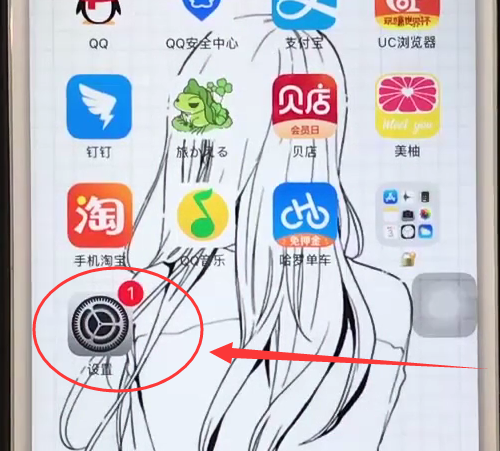 iphone6中禁止app使用移动网络的简单步骤