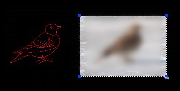 借助cad临摹小鸟图片的操作方法