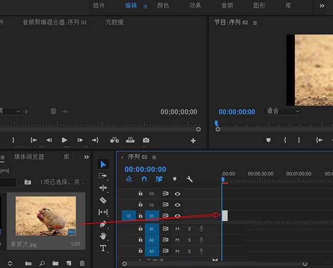 premiere创建文本图层的操作教程