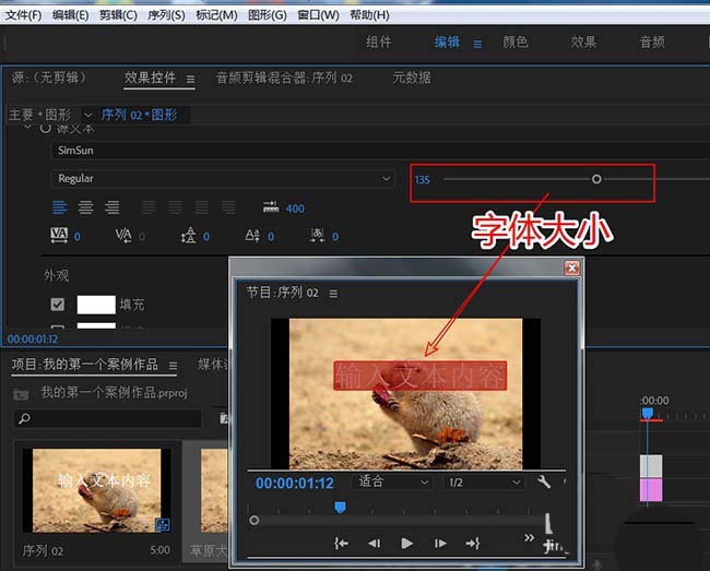 premiere创建文本图层的操作教程