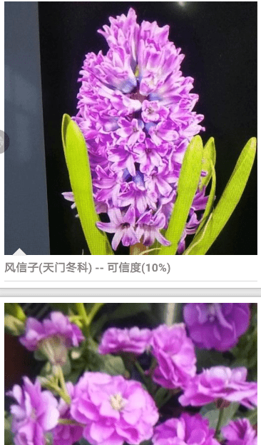 拍照识花APP的使用过程讲解