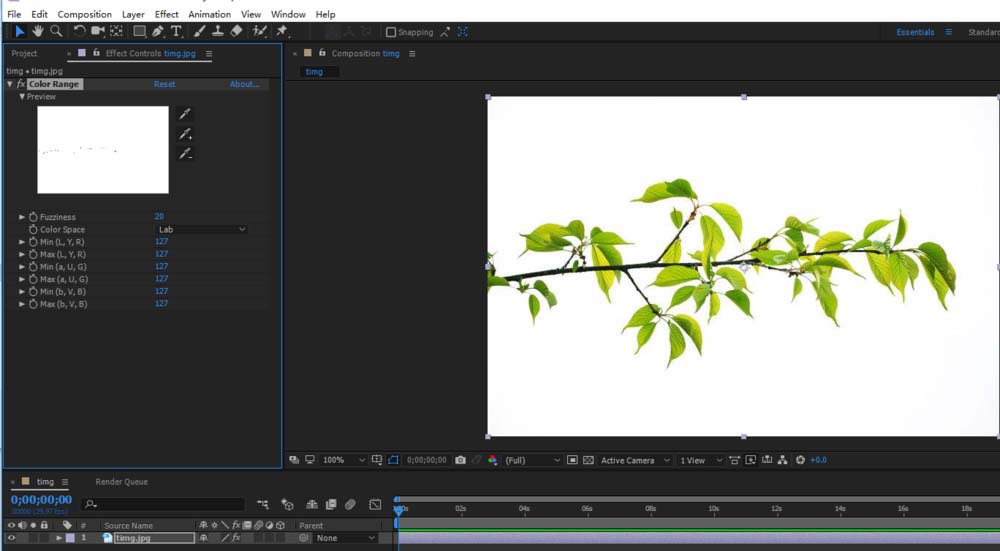 ae迅速抠出图片中树枝图形的具体操作步骤