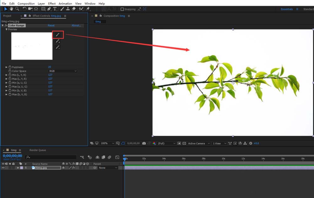 ae迅速抠出图片中树枝图形的具体操作步骤