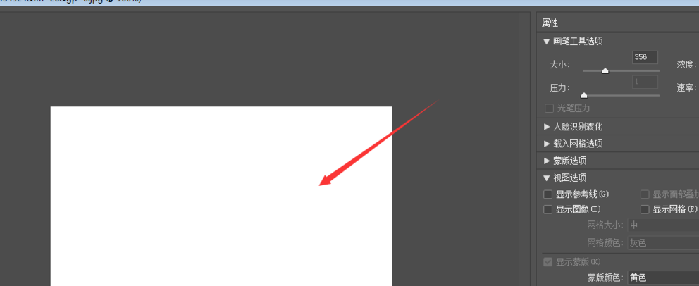 Photoshop出现液化窗口不显示图片的具体处理