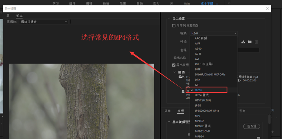 Premiere设置导出小体积清晰视频的使用操作