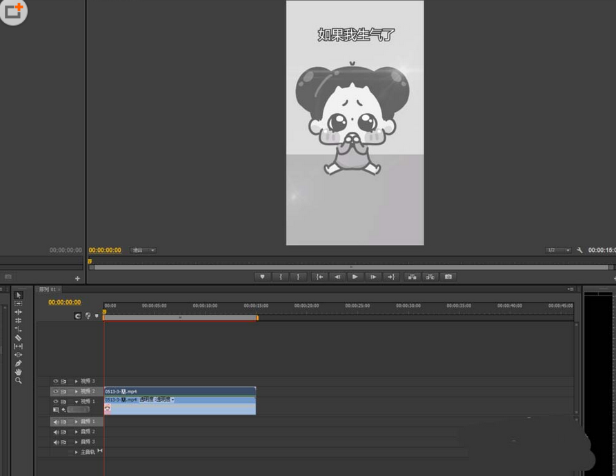premiere制作回忆逐渐褪色视频效果的相关使用步骤