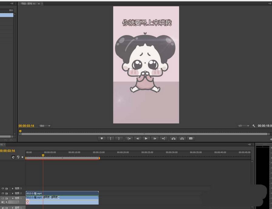 premiere制作回忆逐渐褪色视频效果的相关使用步骤