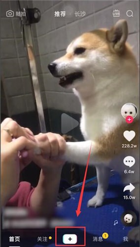 抖音拍出恐龙特效视频的简单操作