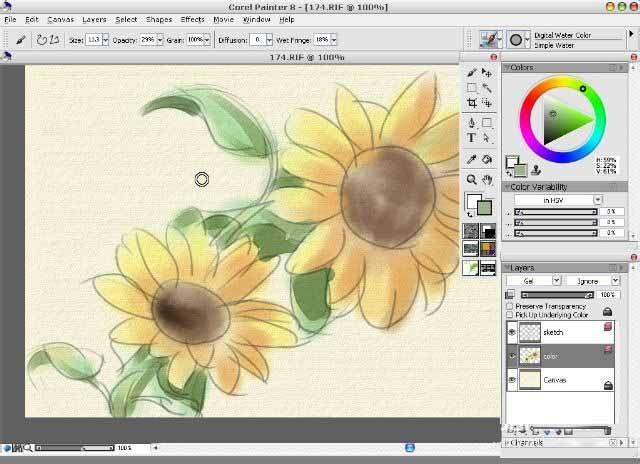 painter8绘画水彩效果向日葵的详细使用方法