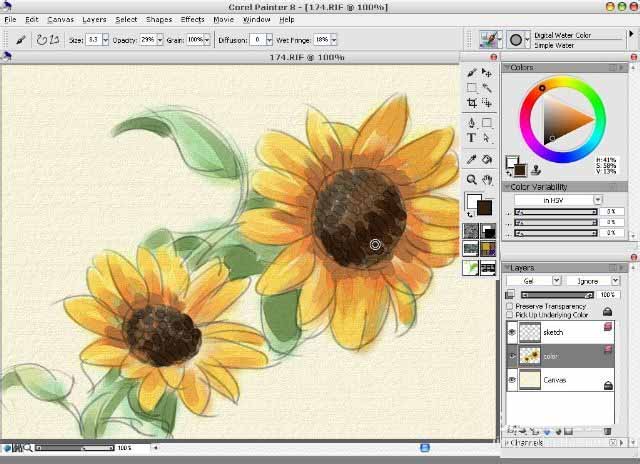 painter8绘画水彩效果向日葵的详细使用方法