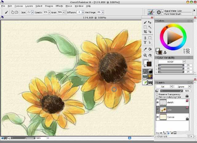 painter8绘画水彩效果向日葵的详细使用方法