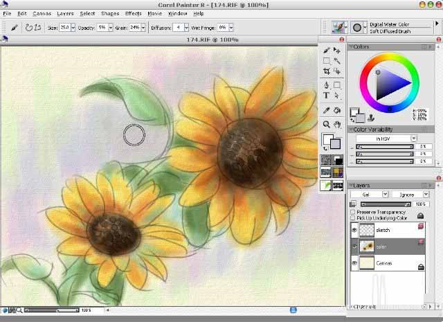 painter8绘画水彩效果向日葵的详细使用方法