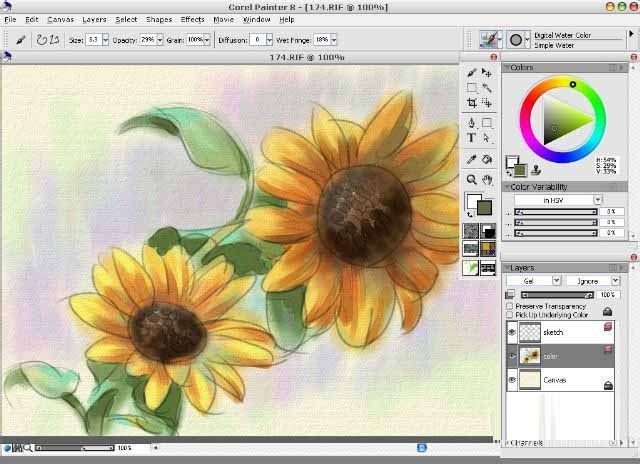 painter8绘画水彩效果向日葵的详细使用方法
