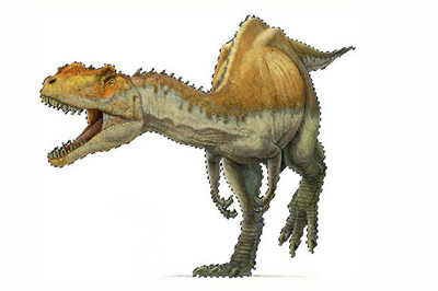 Photoshop将图片融入背景的具体操作