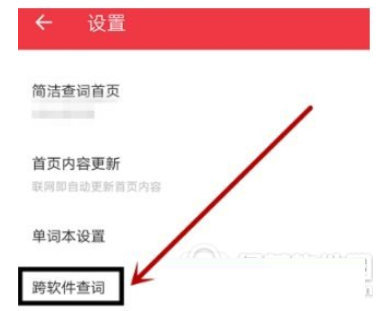 有道词典设置复制后自动查词的详细操作