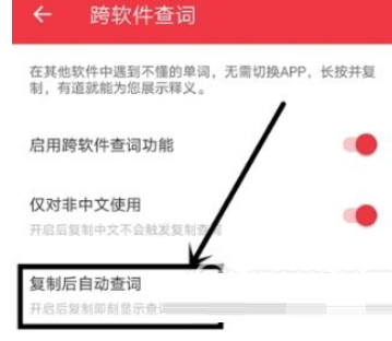 有道词典设置复制后自动查词的详细操作